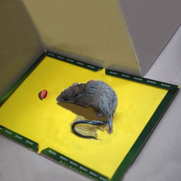 Mouse and Rat Glue Board (Book Type) - GlowLaa.com