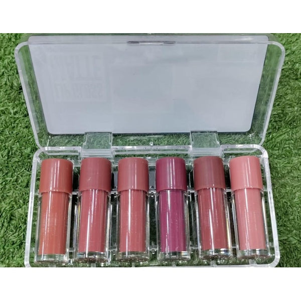 Pack Of 6 Nude shades lipgloss - GlowLaa.com