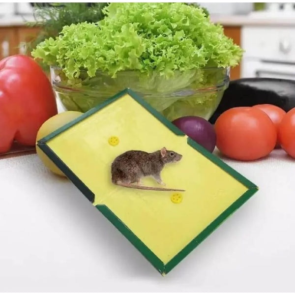 Mouse Glue Trap – Strong Adhesive Rat Glue Board & Rodent Catcher Mat ( Pack of 5 ) - GlowLaa.com