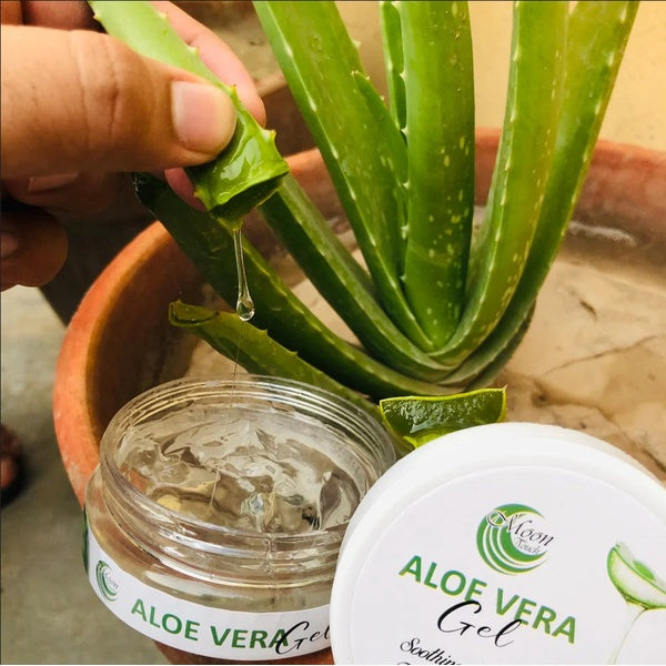 Aloe Vera Gel (100g) - GlowLaa.com