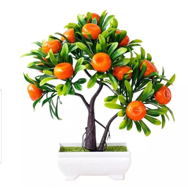 Beautiful Fruit Bonsai Tree for Home Decor - Apple Tree - GlowLaa.com