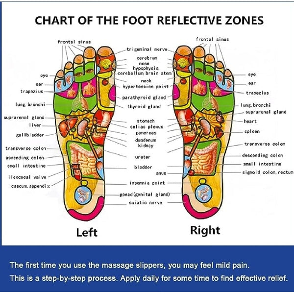 Blueidea Acupressure Massage Slippers for Sugar Patients – Foot Therapy Reflexology Sandals with Acupuncture Points &amp; Non-Slip Sole - GlowLaa.com