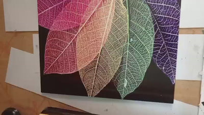 Translucent Leaf Triptych  Set of 3 (8x11)