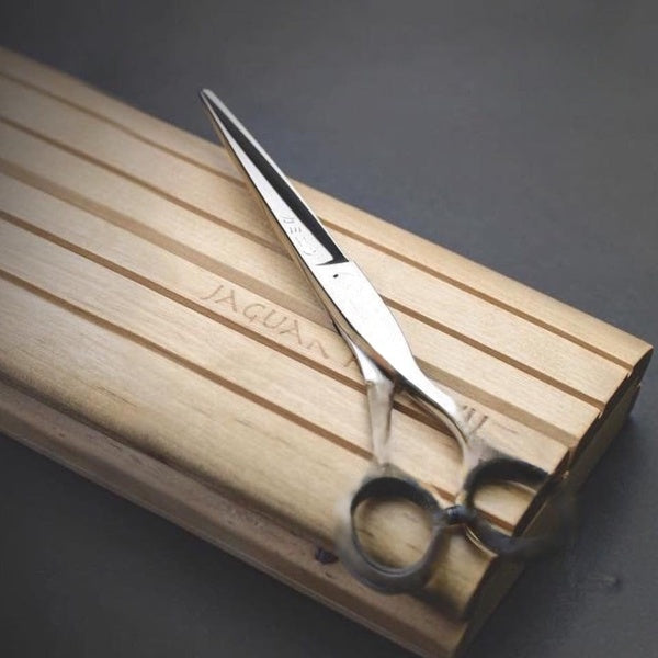 01 PCs - Premium Quality Stainless Steel Scissors – Sharp, Rust-Resistant, Multipurpose Cutting Tool for Home, Office &amp; Craft Use | Premium Scissors  - GlowLaa.com